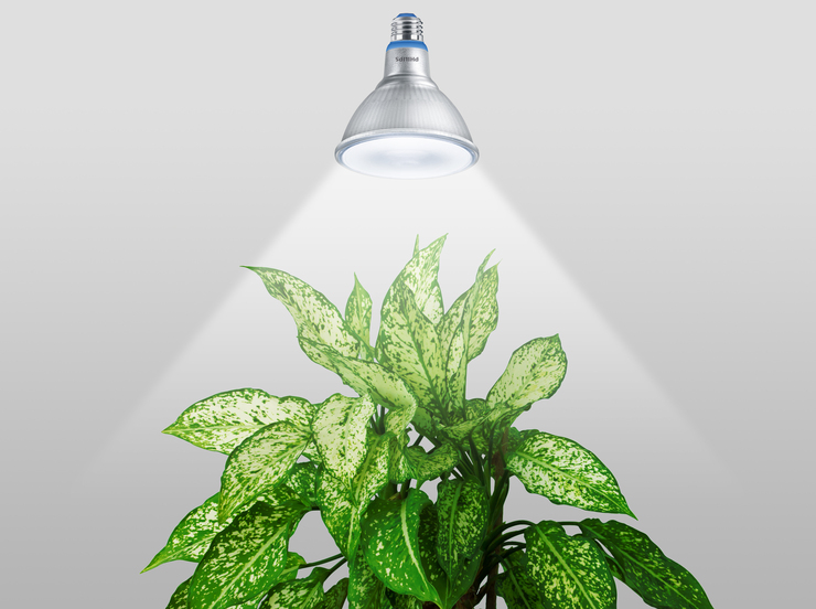 Philips LED Plant Grow Par38