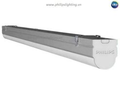 Bộ đèn LED Batten T8 BN012C-11W-0m6